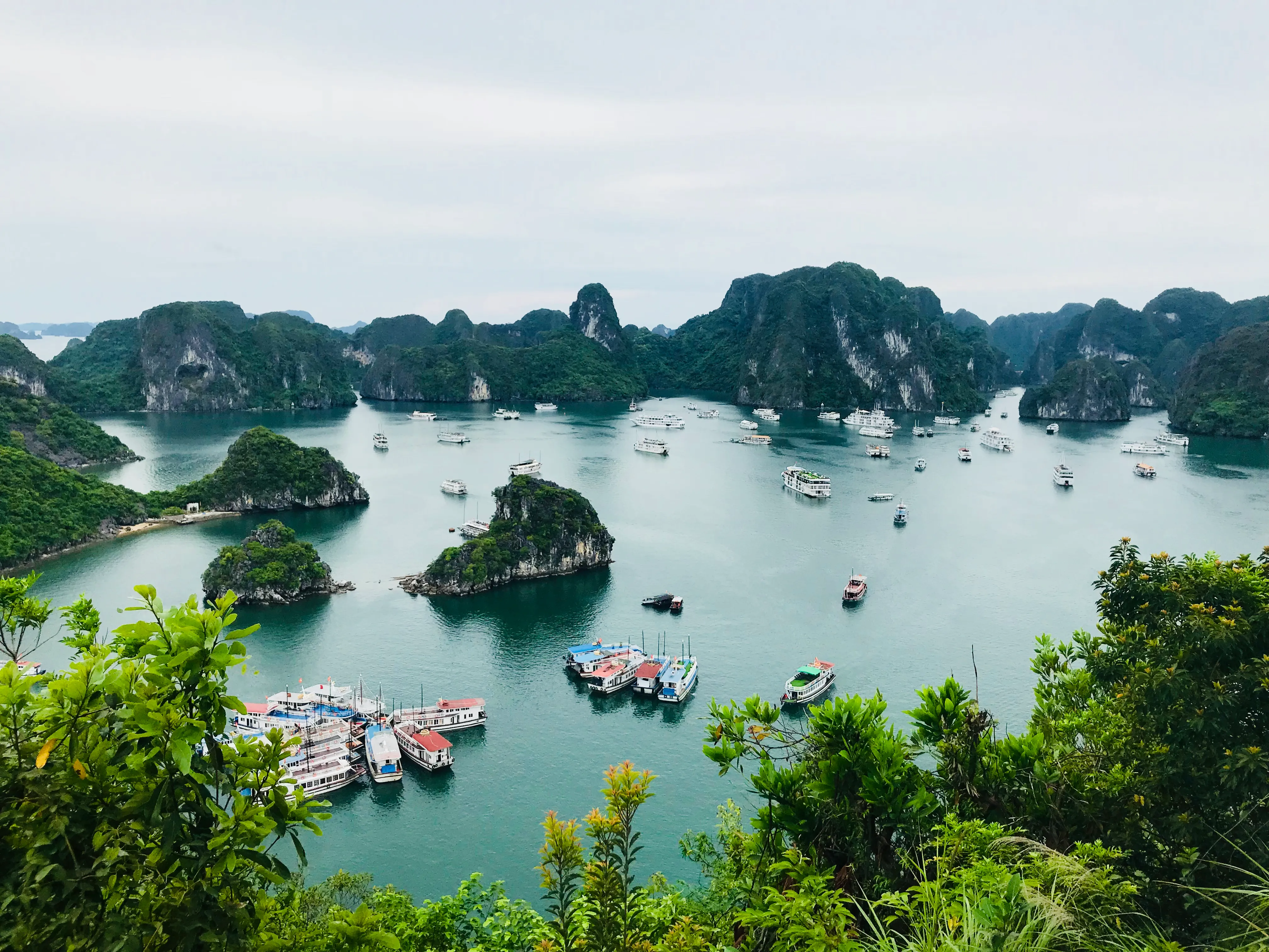Tour boats anchored among the forested limestone karst islands of Ha Long Bay, Vietnam, under a soft overcast sky